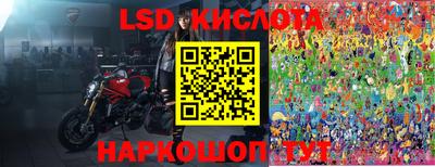 индика Лесосибирск
