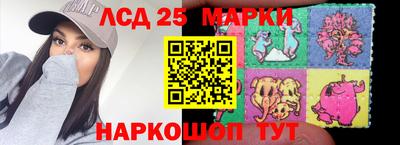 индика Лесосибирск