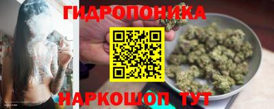 мяу мяу мука Малоярославец