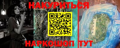 индика Лесосибирск