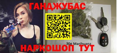 индика Лесосибирск