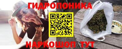 индика Лесосибирск