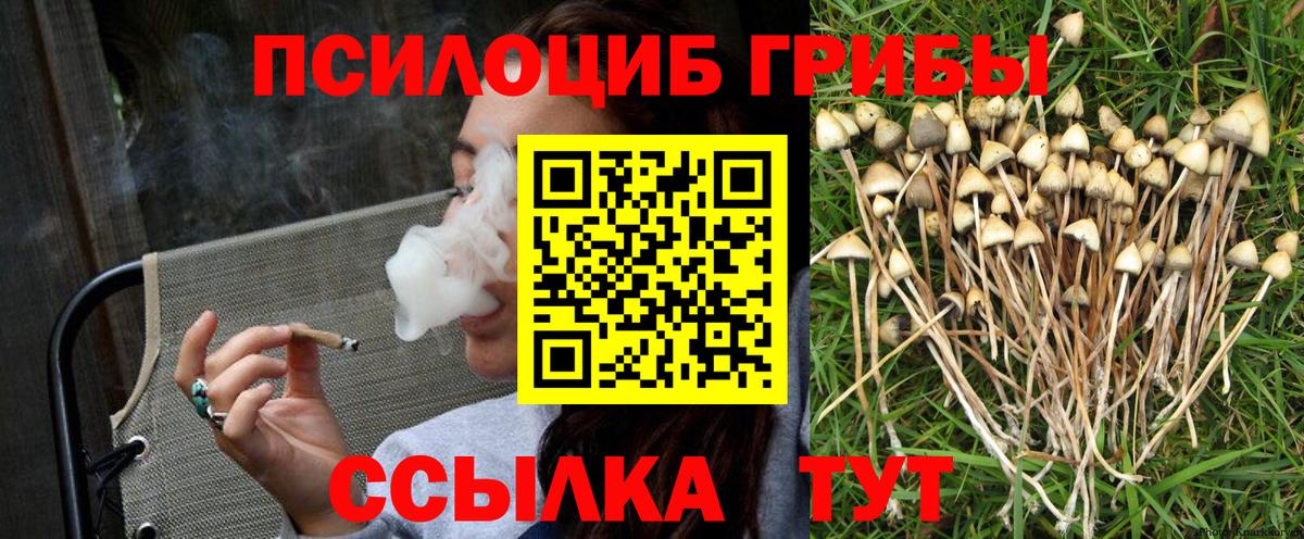 Галлюциногенные грибы GOLDEN TEACHER  Галлюциногенные грибы Magic Shrooms  Вход с VPN  Лиски 